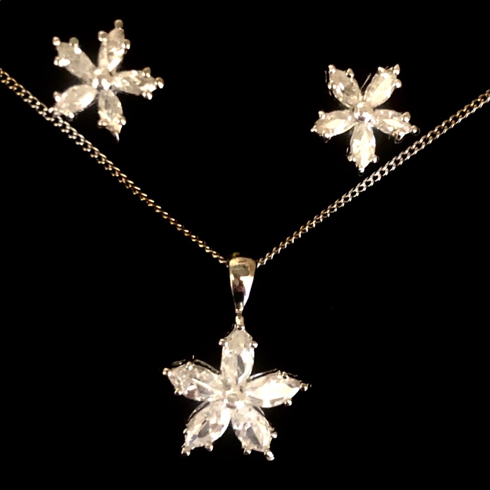 NWT Necklace and Earrings Set.